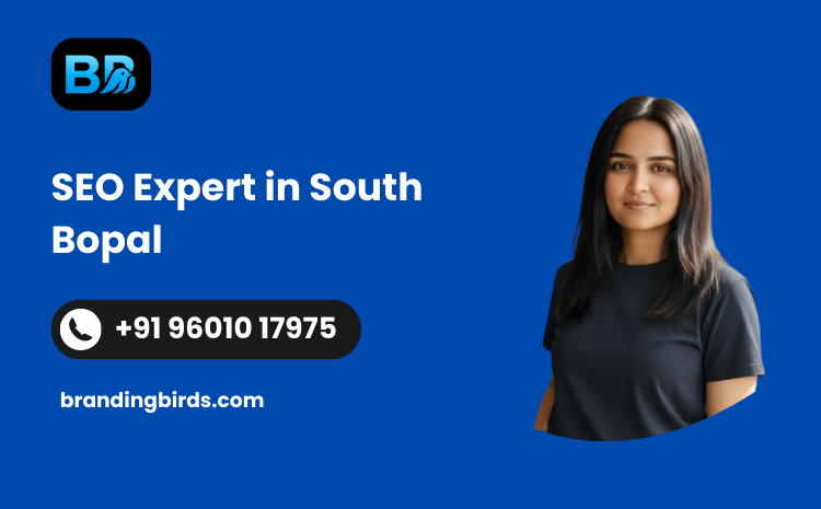 SEO Expert in South Bopal